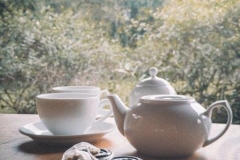 ceylon tea at Sri Lanka's living heritage koslanda