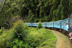 Hill Country train travel Sri Lanka