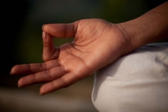 Meditation Retreat in Sri Lanka