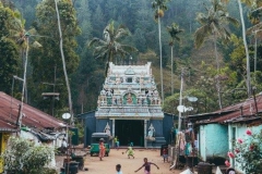 Pilkington Point Hike