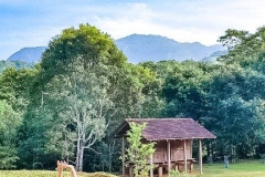 ea08c721-17b0-4c62-b919-46231e76b19f