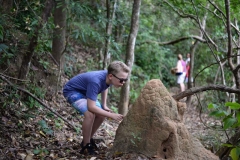 explore nature at living heritage koslanda