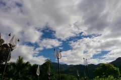 Grounds of sri lanka hotels