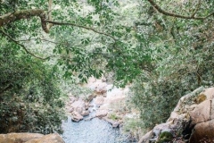 Sri Lanka_claraBmartin_17