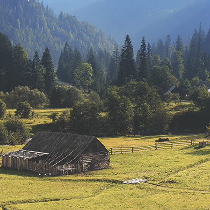 Living Heritage Koslanda