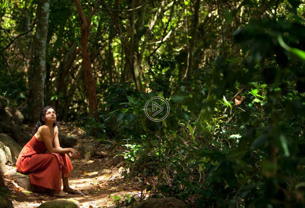 Living Heritage Koslanda