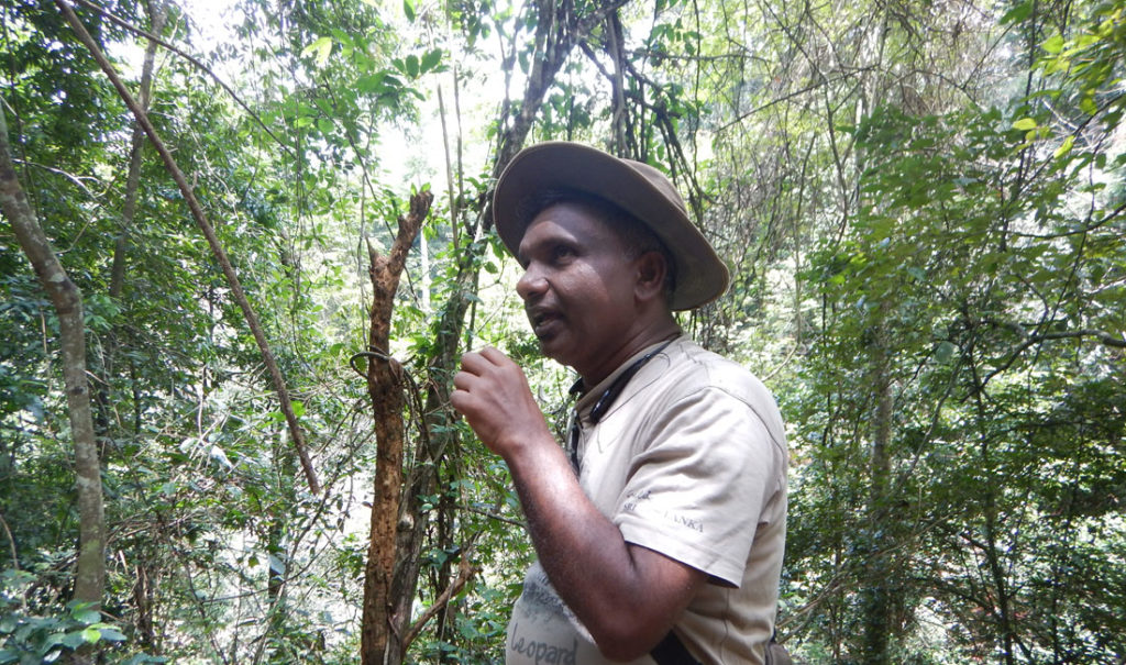 Living Heritage Koslanda