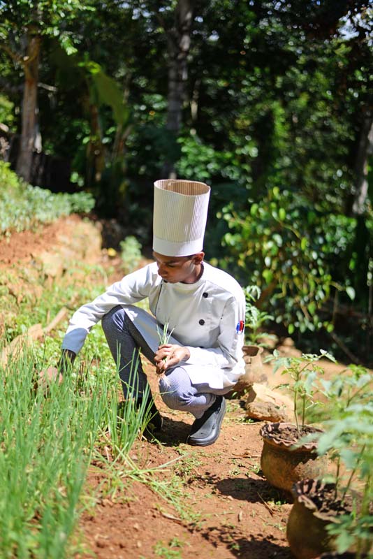 Living Heritage Koslanda