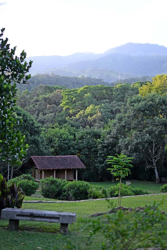 Living Heritage Koslanda