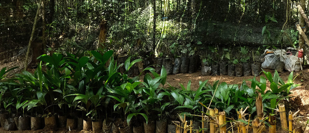 Living Heritage Koslanda