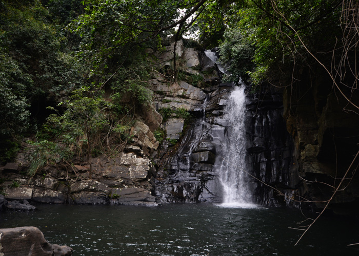 Living Heritage Koslanda