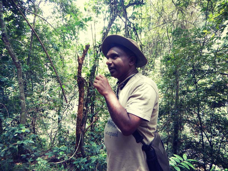Living Heritage Koslanda