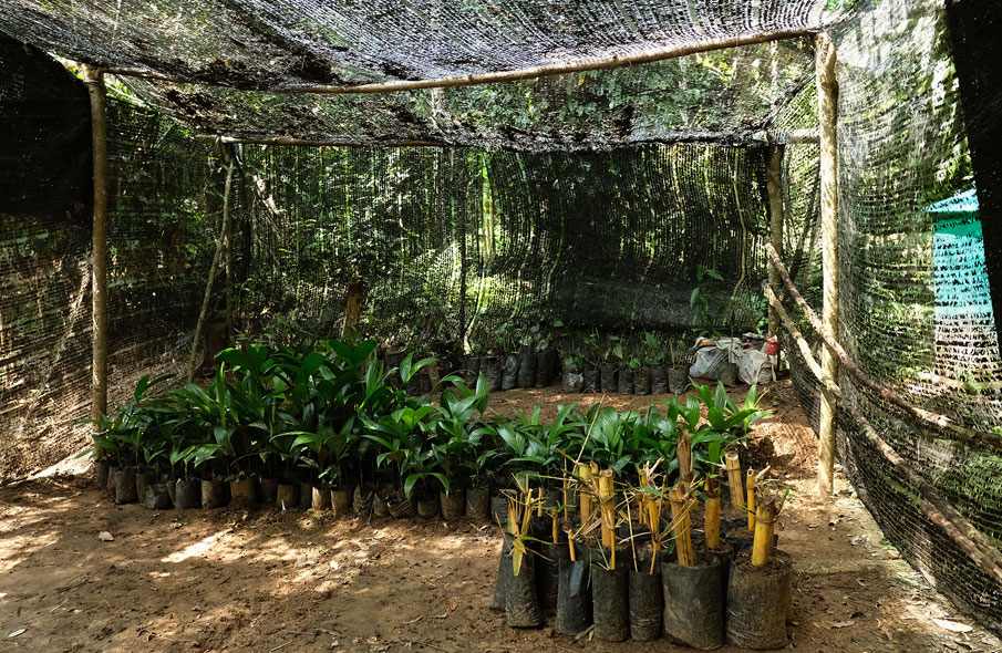 Living Heritage Koslanda