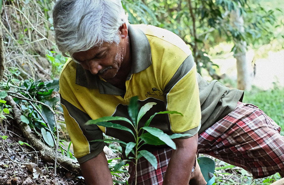 Living Heritage Koslanda