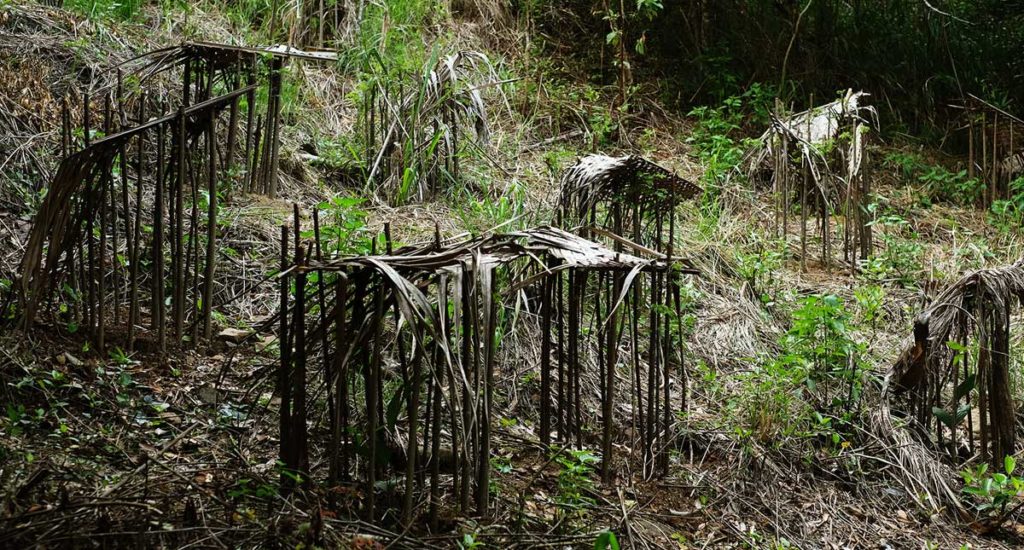 Living Heritage Koslanda