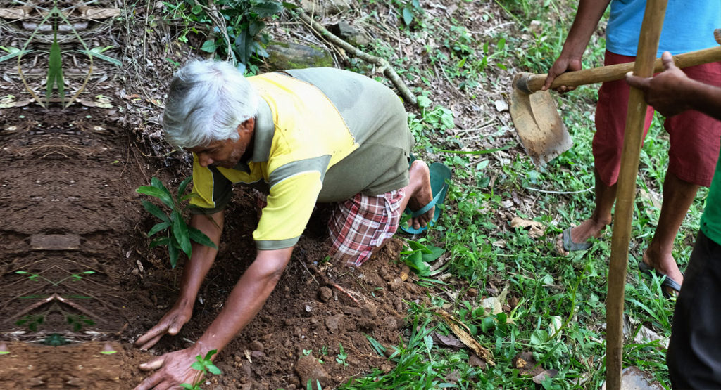 Living Heritage Koslanda
