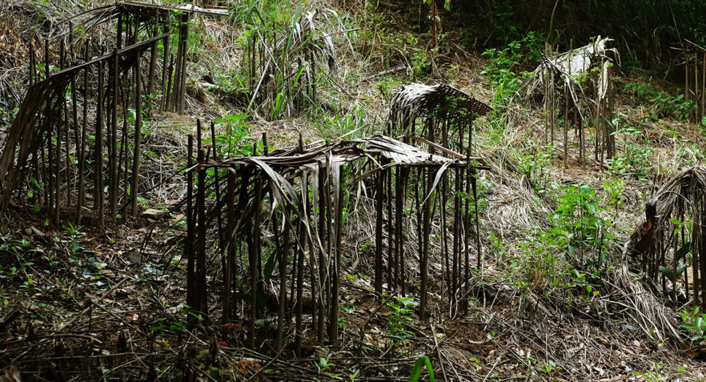 Living Heritage Koslanda