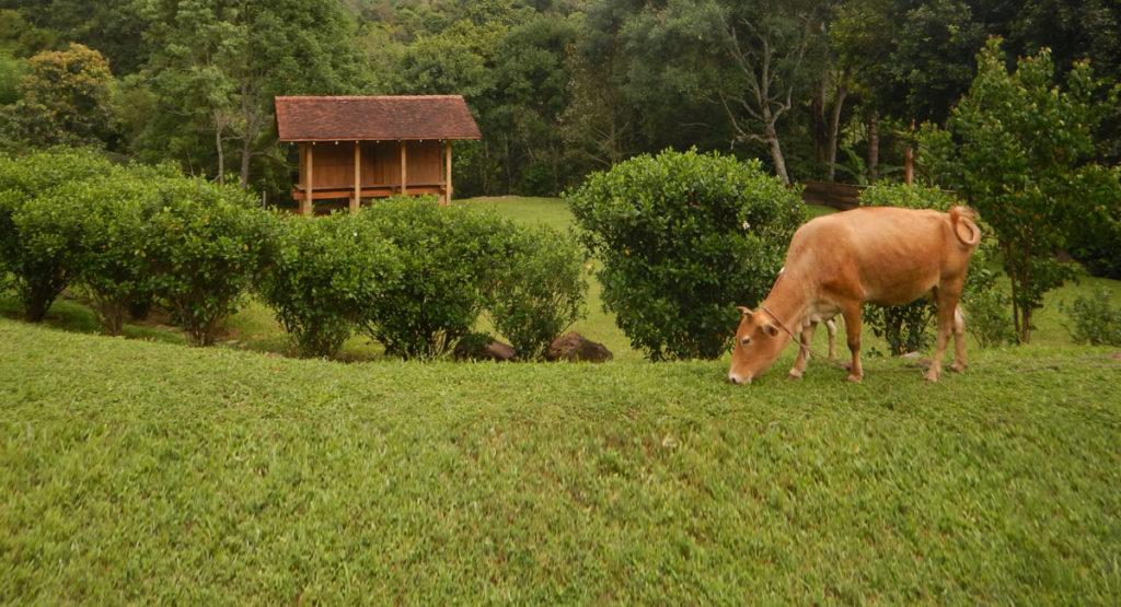 Living Heritage Koslanda