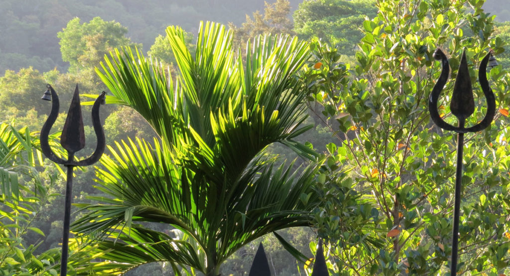 Living Heritage Koslanda