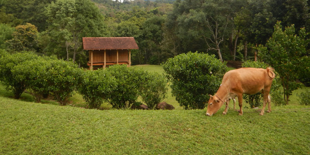 Living Heritage Koslanda