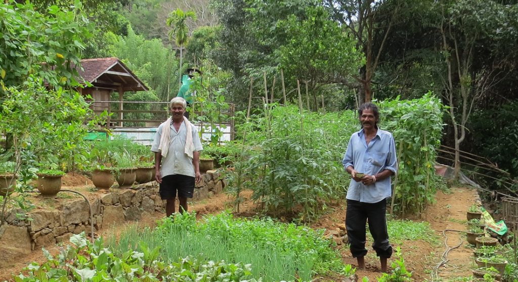 Living Heritage Koslanda