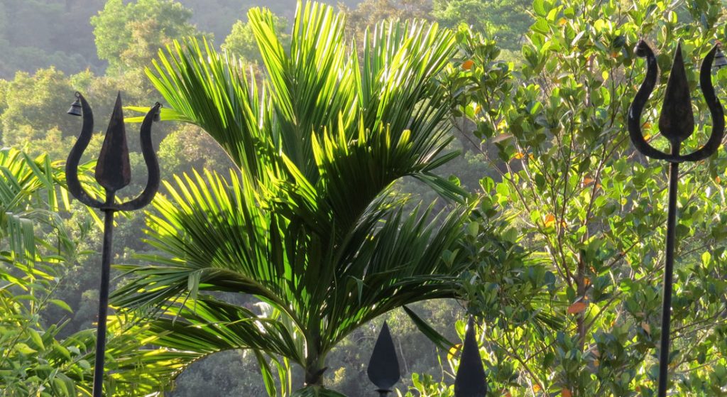 Living Heritage Koslanda